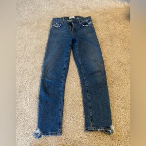 Agolde Toni denim